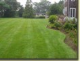 /album/photo-gallery/lawn-jpg1/